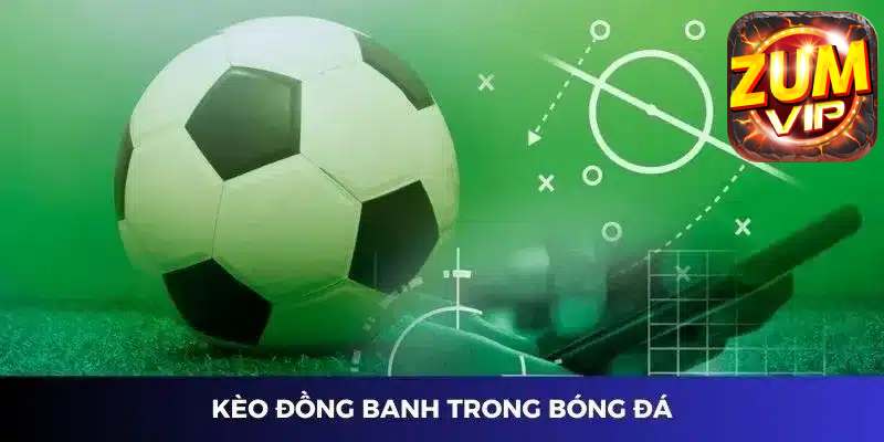 Nếu là tân binh, bạn hãy cược kèo hòa theo hiệp đấu